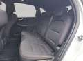 Ford Kuga 2.5 Duratec PHEV ST-LINE Blanc - thumbnail 18