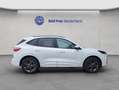 Ford Kuga 2.5 Duratec PHEV ST-LINE Blanc - thumbnail 7