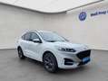 Ford Kuga 2.5 Duratec PHEV ST-LINE Blanc - thumbnail 8