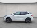 Ford Kuga 2.5 Duratec PHEV ST-LINE Blanc - thumbnail 2