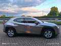 Lexus UX Hybrid Business Срібний - thumbnail 6