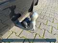 BMW 320 i Touring G21 B48 Head-Up+AHK+Navi+ACC+SHZ+BT Schwarz - thumbnail 20