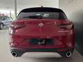 Alfa Romeo Stelvio 2.2 Turbodiesel 210 CV AT8 Q4 Executive Rosso - thumbnail 5