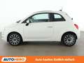 Fiat 500 1.0 Mild-Hybrid Dolcevita Weiß - thumbnail 3