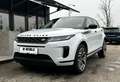 Land Rover Range Rover Evoque AWD Aut. *360°*Navi*Tot-W*Spurhalte* Weiß - thumbnail 1