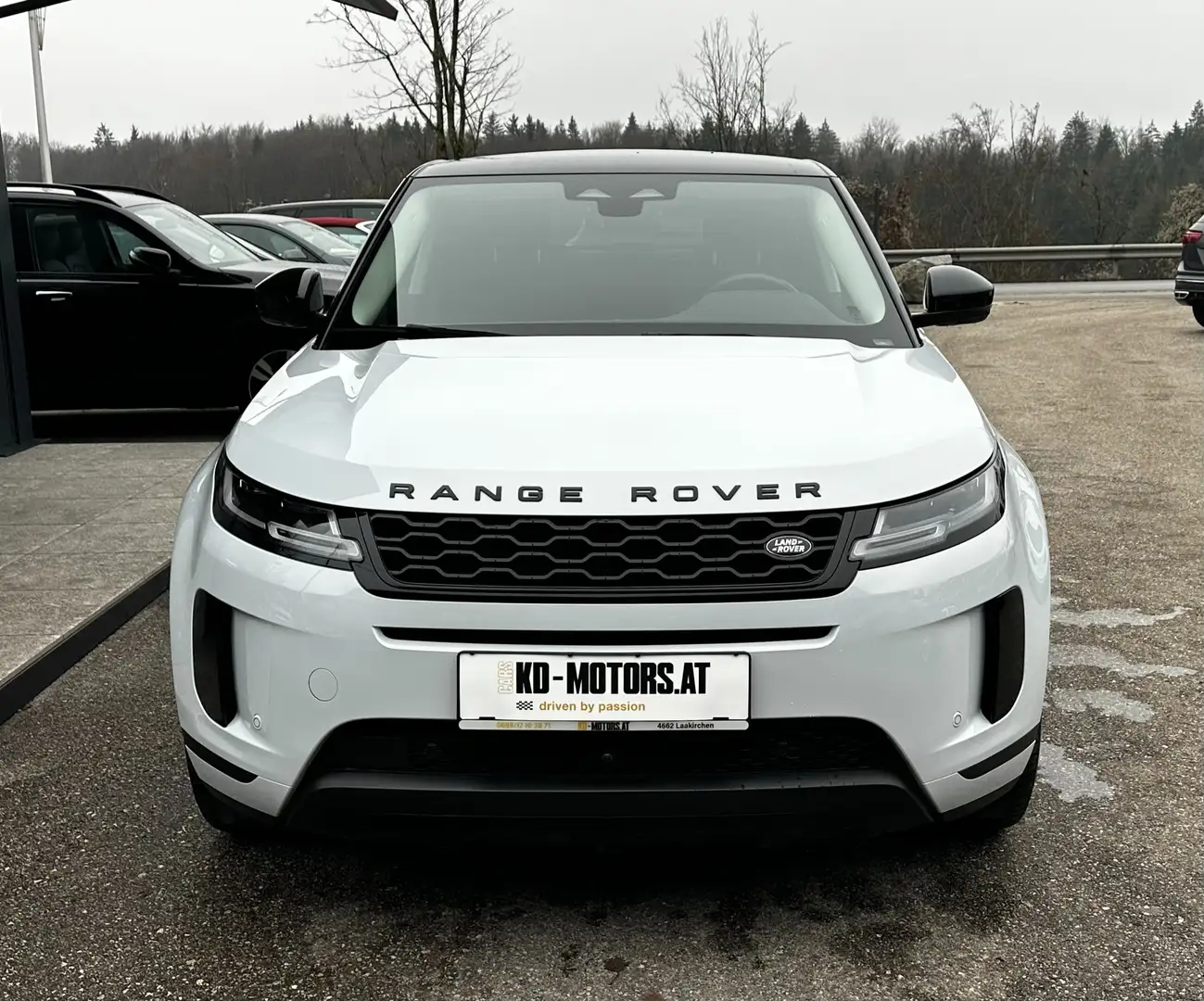 Land Rover Range Rover Evoque AWD Aut. *360°*Navi*Tot-W*Spurhalte* Weiß - 2