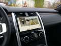 Land Rover Discovery D250 AWD S Winterp. 7-Sitze SHZ Bleu - thumbnail 19