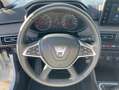 Dacia Sandero III CONFORT ECO-G 100 -22 Bianco - thumbnail 12