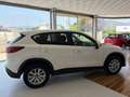 Mazda CX-5 2.2DE Style 2WD Aut. Blanco - thumbnail 8