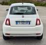 Fiat 500 1.3 mjt Lounge -neopatentati - ottime condizioni - thumbnail 5
