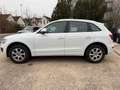 Audi Q5 2.0 TDI 125 kW quattro Blanc - thumbnail 8