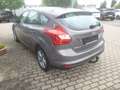 Ford Focus Champions Edition / AHK u.ZR Neu Brun - thumbnail 3