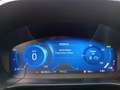 Ford Kuga Kuga 2.5 Duratec FHEV TITANIUM Grau - thumbnail 12
