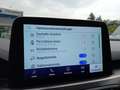 Ford Kuga Kuga 2.5 Duratec FHEV TITANIUM Gris - thumbnail 21