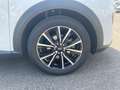 Ford Puma 1.0 l EcoBoost Mild-Hybrid Titanium NAVI/DAB FAHRA Blanc - thumbnail 9