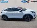 Ford Puma 1.0 l EcoBoost Mild-Hybrid Titanium NAVI/DAB FAHRA Blanc - thumbnail 8