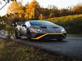 Lamborghini Huracán STO Lift Carbon Telemetry Vollausstattung Garantie siva - thumbnail 18