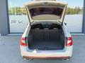 Skoda Octavia Octavia 2.0 TSI RS Grau - thumbnail 24