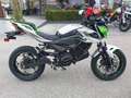 Kawasaki - thumbnail 4