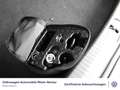 Volkswagen Tiguan 2.0 TSI R-Line DSG 4Motion AHK Kamera Sta Schwarz - thumbnail 12