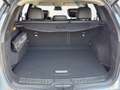 Renault Koleos Koleos dCi 190 4WD Initiale X- Grau - thumbnail 14