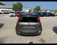 Fiat Panda III 1.0 firefly hybrid City Life s&s 70cv 5p.ti Grigio - thumbnail 6