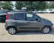 Fiat Panda III 1.0 firefly hybrid City Life s&s 70cv 5p.ti Grigio - thumbnail 9