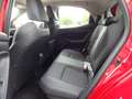 Mazda Sonstige 1,5 Agile AT ACC Teilleder Allwetter Rot - thumbnail 19