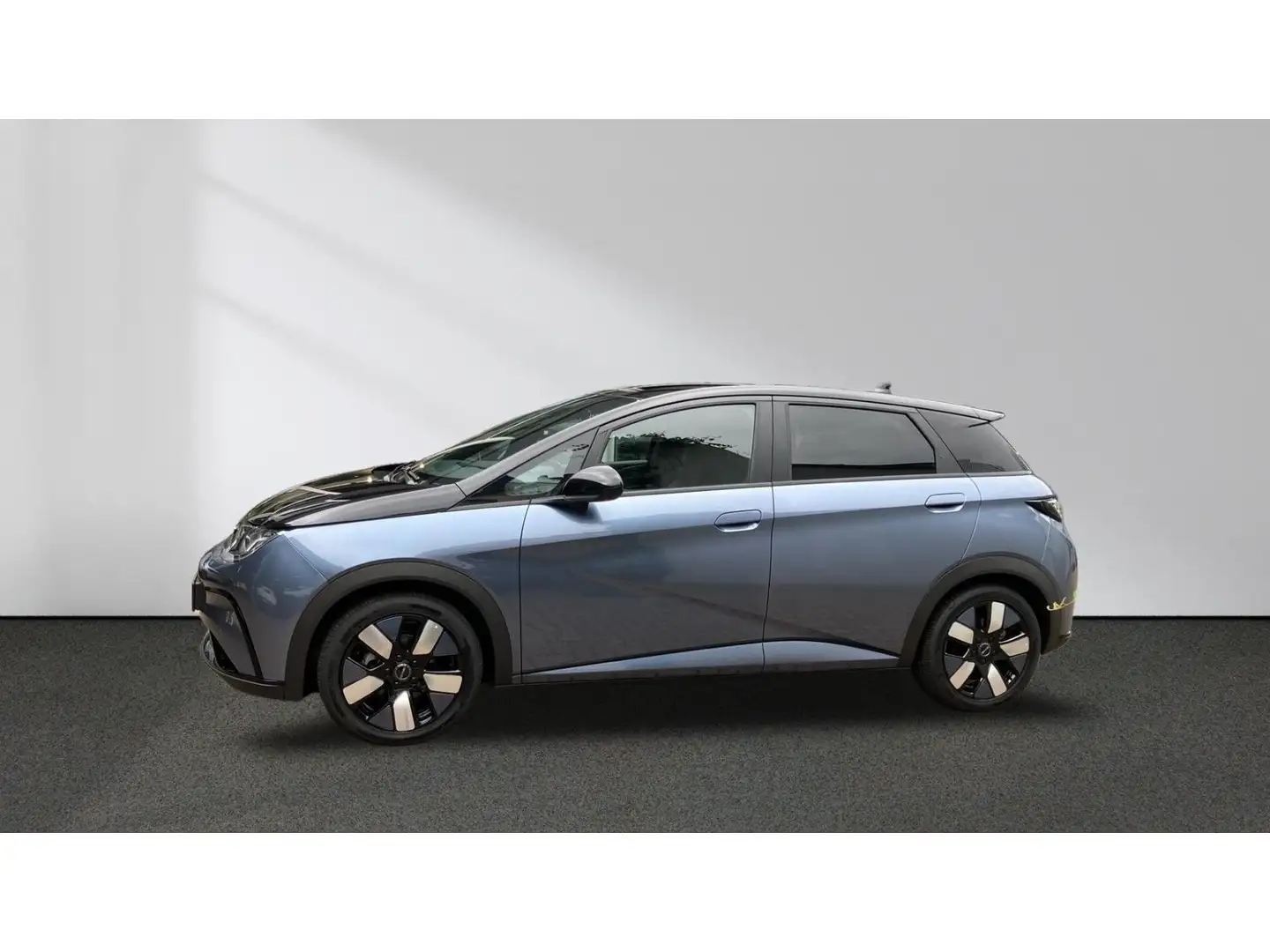 BYD Dolphin Design Panorama 360°-Kamera Keyless LED Schwarz - 2