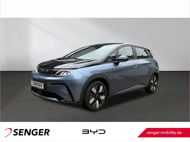 BYD Dolphin Design Panorama 360°-Kamera Keyless LED