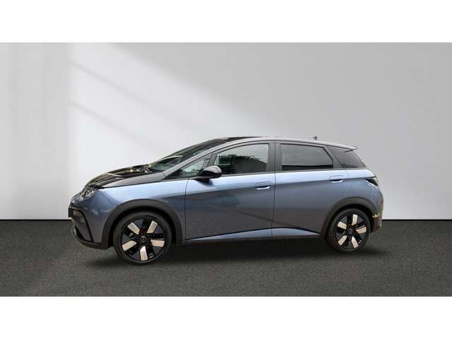 BYD Dolphin Design Panorama 360°-Kamera Keyless LED