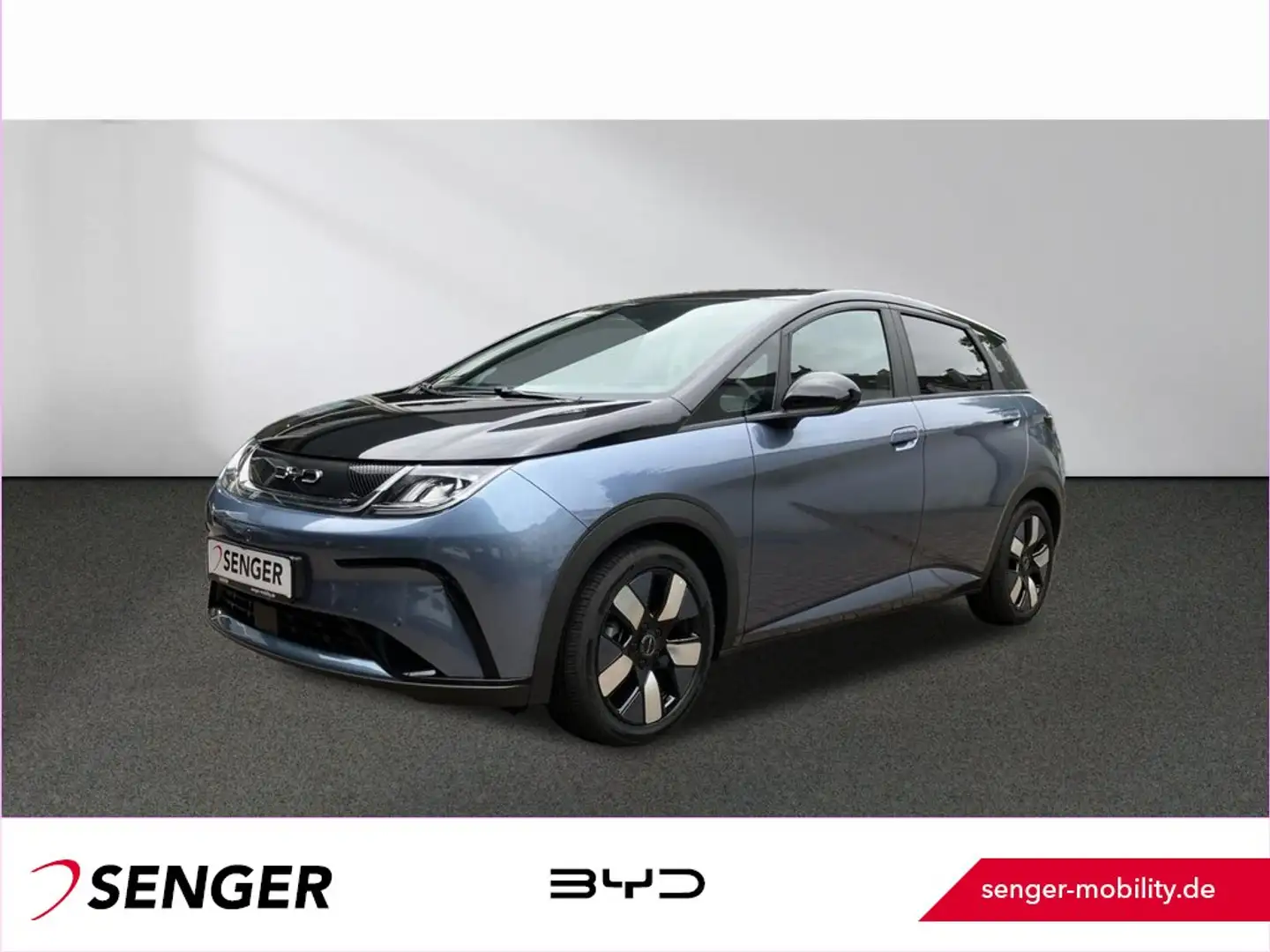 BYD Dolphin Design Panorama 360°-Kamera Keyless LED Schwarz - 1