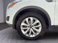 Ford Kuga Titanium Weiß - thumbnail 23