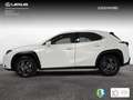 Lexus UX 300h + Wit - thumbnail 6