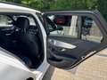 Mercedes-Benz C 300 C 300 T d AMG Night Edition Multibeam 1Hand Weiß - thumbnail 10