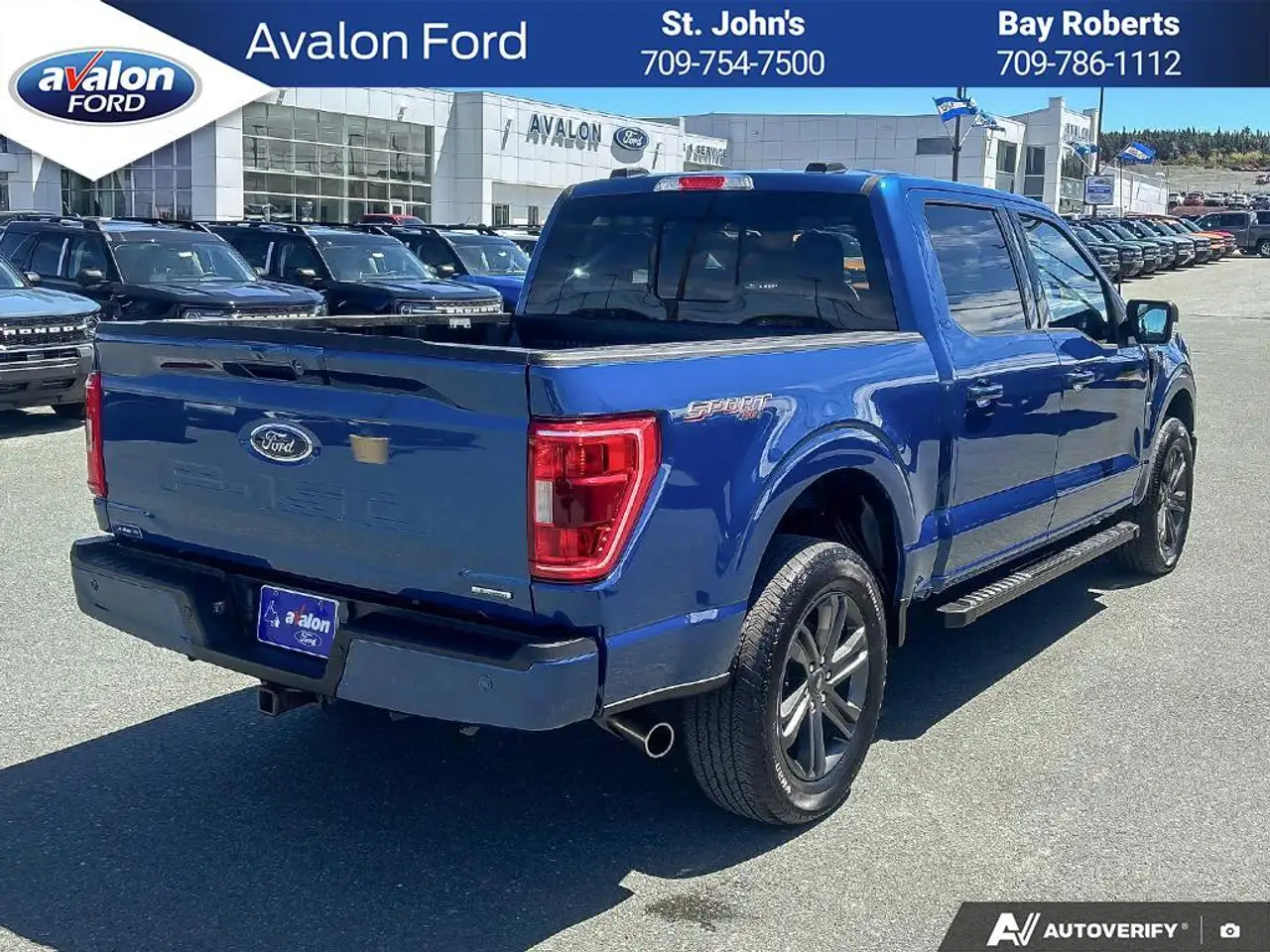 Ford F 150 photo Ford F 150