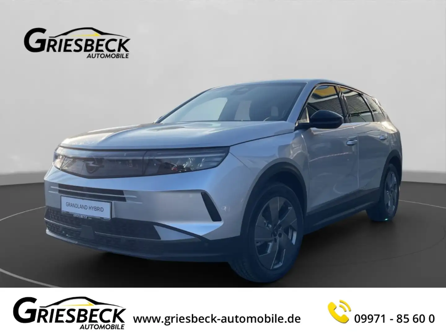 Opel Grandland 1.2 48V Mild- Hybrid 100kW Edition EU6e LED Mehrzo Silber - 1