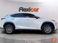Lexus NX 300 300h Business 2WD Blanco - thumbnail 3