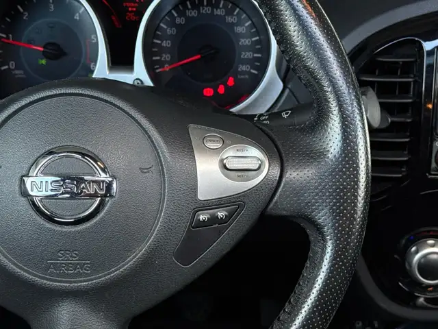 Nissan Juke view 15