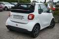 smart forTwo cabrio 0.9 66kW Automatik Weiß - thumbnail 1