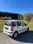 Fiat Panda 169 1,1 ECO City - thumbnail 6