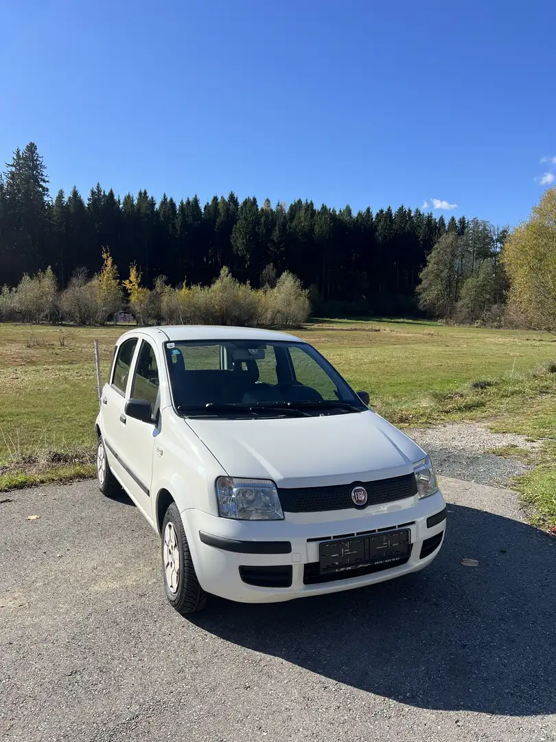 Fiat Panda 169 1,1 ECO City - 1