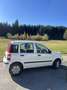 Fiat Panda 169 1,1 ECO City - thumbnail 7