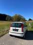 Fiat Panda 169 1,1 ECO City - thumbnail 5