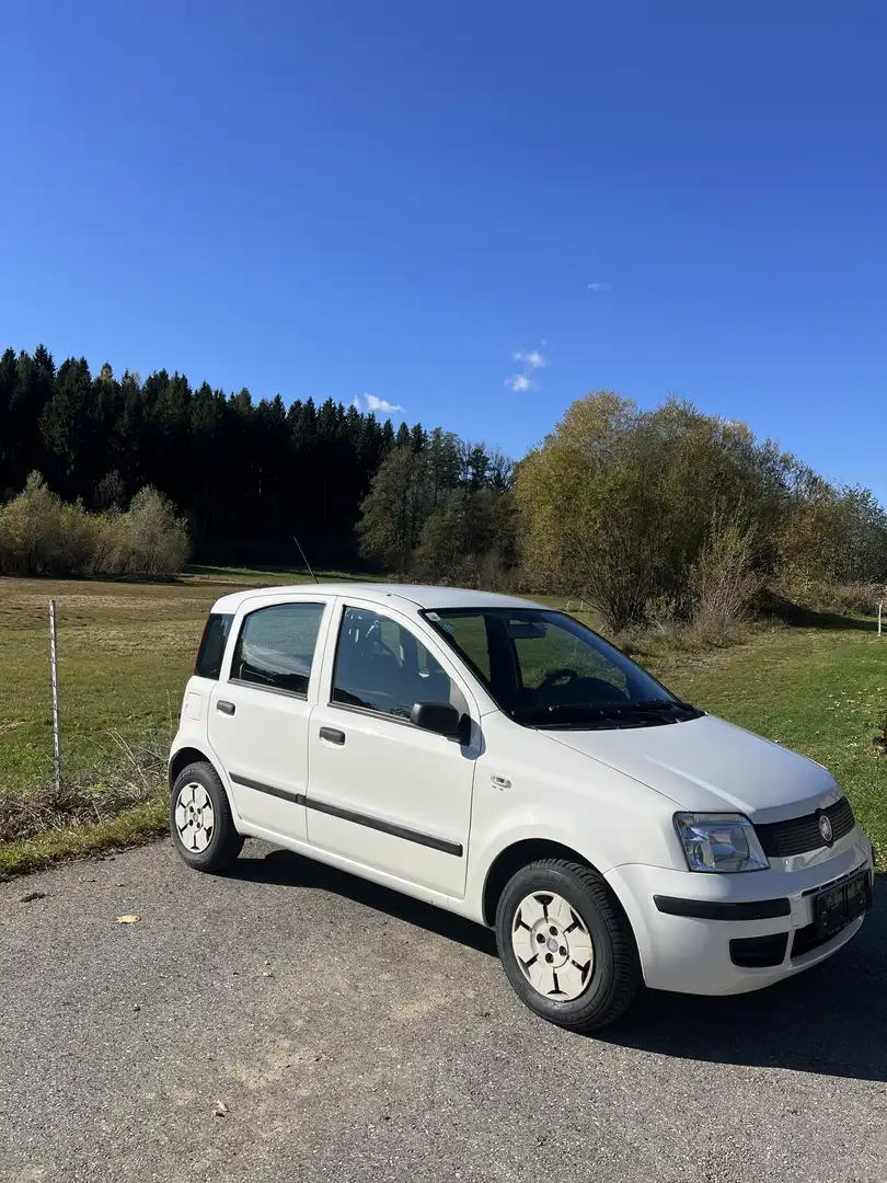 Fiat Panda 169 1,1 ECO City - 2