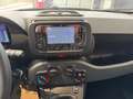 Fiat New Panda Panda 1.0 FireFly S&S Hybrid Weiß - thumbnail 16