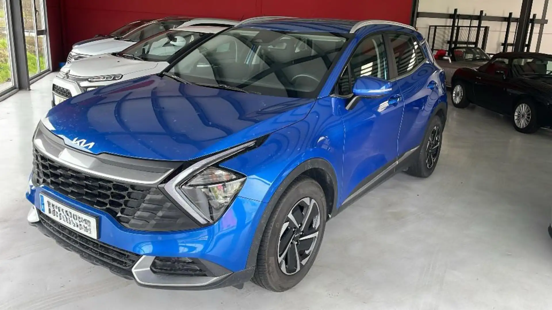 Kia Sportage 1.6 T-GDi MHEV Drive 150 - 2