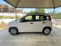 Fiat Panda 1.2 EURO 6 OK NEOP. BLUETHOOT 5 POSTI Blanc - thumbnail 8