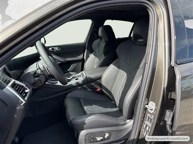 BMW X6 view 10