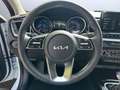 Kia Ceed SW / cee'd SW Sportswagon 1.6 PHEV Plug-in Hybrid Spirit El. Hec Wit - thumbnail 12